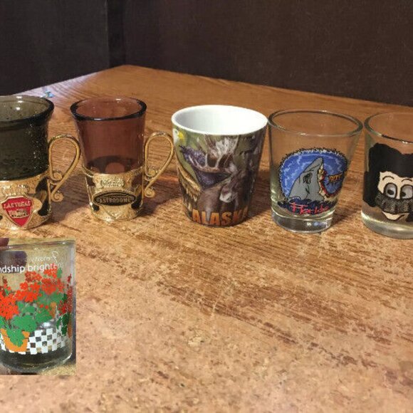 6X SHOT GLASSES ALASKA WILDLIFE GOOGLY EYES FLORIDA SHARK LAS VEGAS & ASTRODOME - Picture 1 of 6